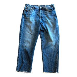 Joe's Jeans Size 30 blue denim high rise straight crop